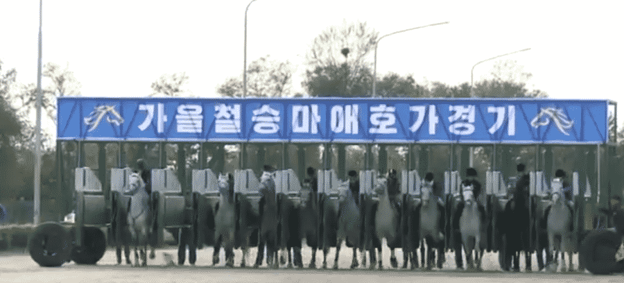 North Korea horse racing betting