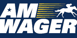 AmWager logo AmWager